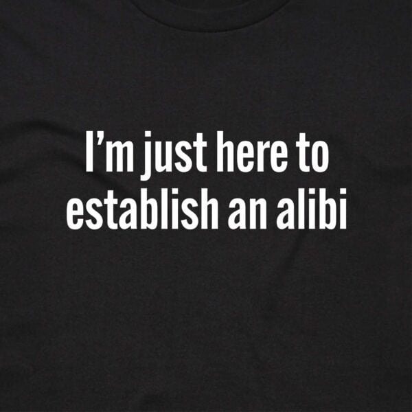 111112 IM JUST HERE TO ESTABLISH AN ALIBI T SHIRT FRONT BLACK ANGLE scaled