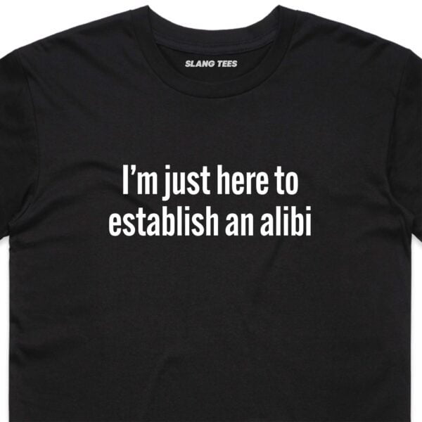 111112 IM JUST HERE TO ESTABLISH AN ALIBI T SHIRT FRONT BLACK ZOOM scaled